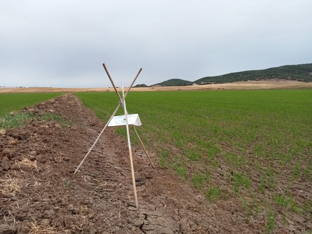 Imagen REPORTAJE FOTOGRÁFICO