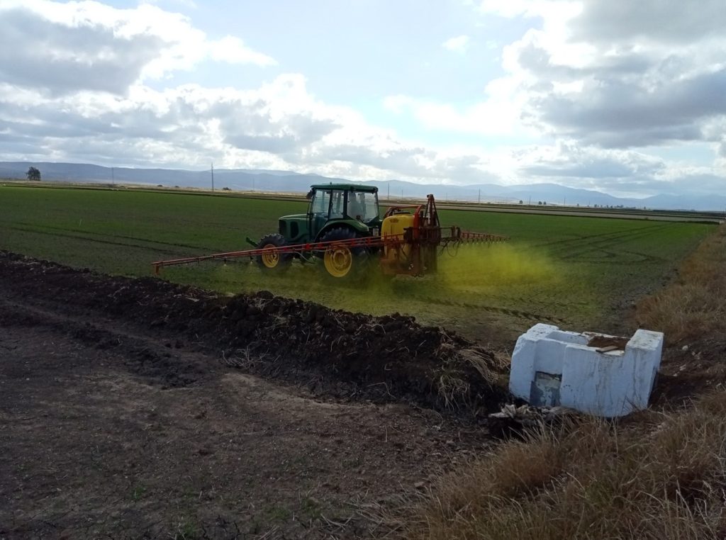 Imagen MATERIAS ACTIVAS Y AUTORIZACIONES EXCEPCIONALES