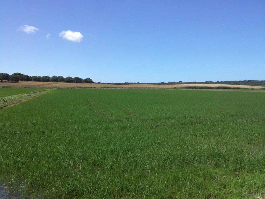 Imagen REPORTAJE FOTOGRÁFICO