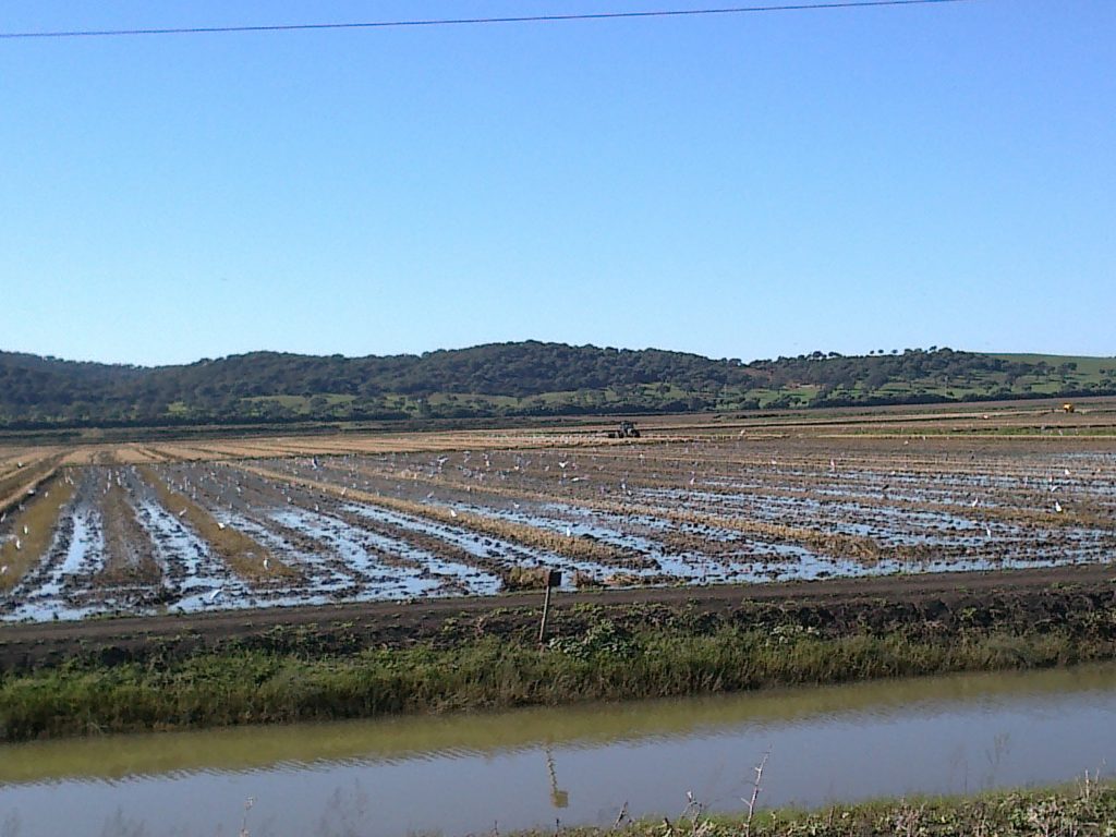 Imagen EVENTOS Y NOTICIAS