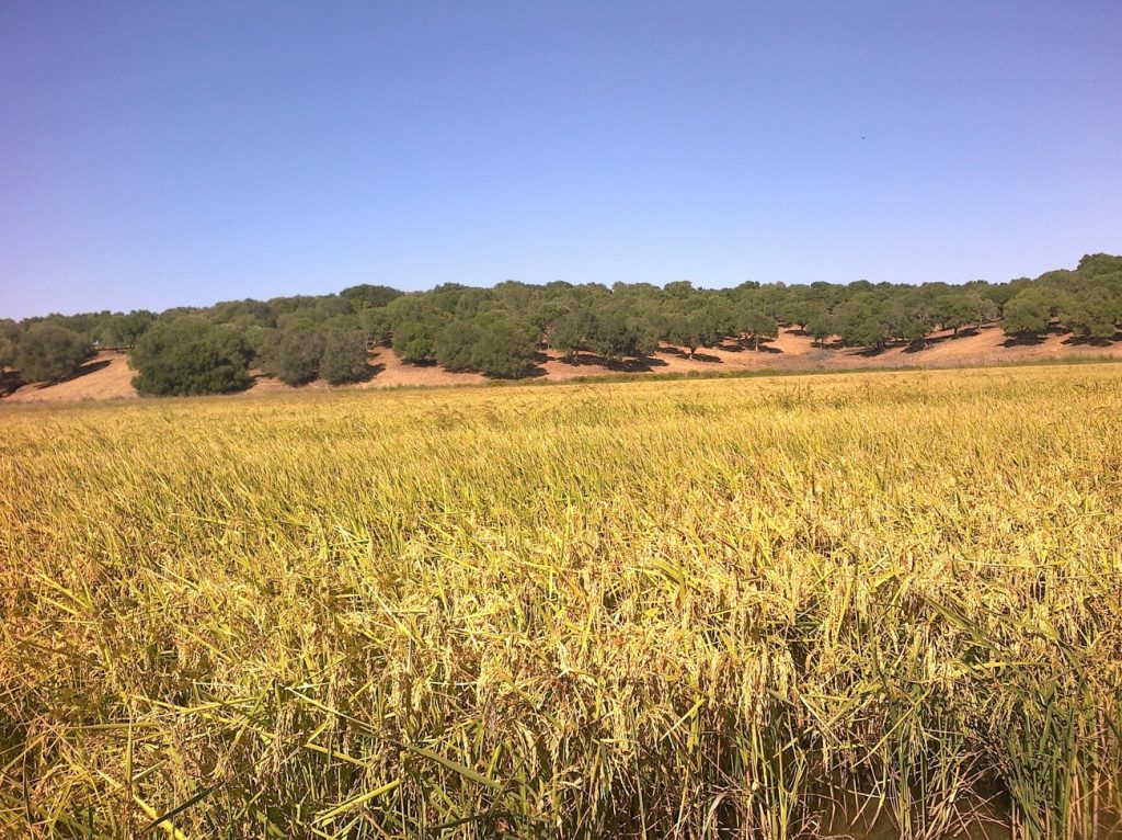 Imagen REPORTAJE FOTOGRÁFICO