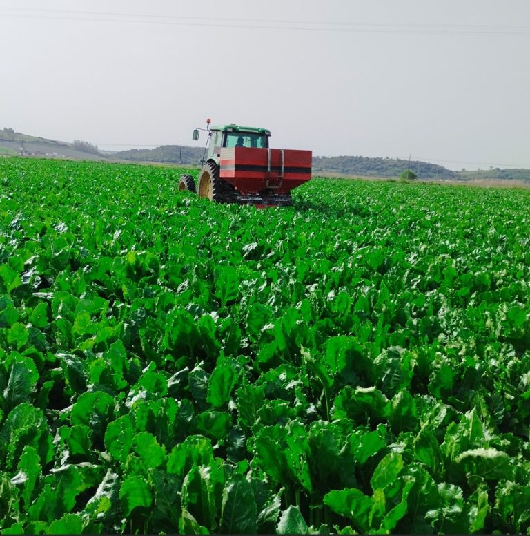 DEVOLUCIÓN GASOIL AGRÍCOLA