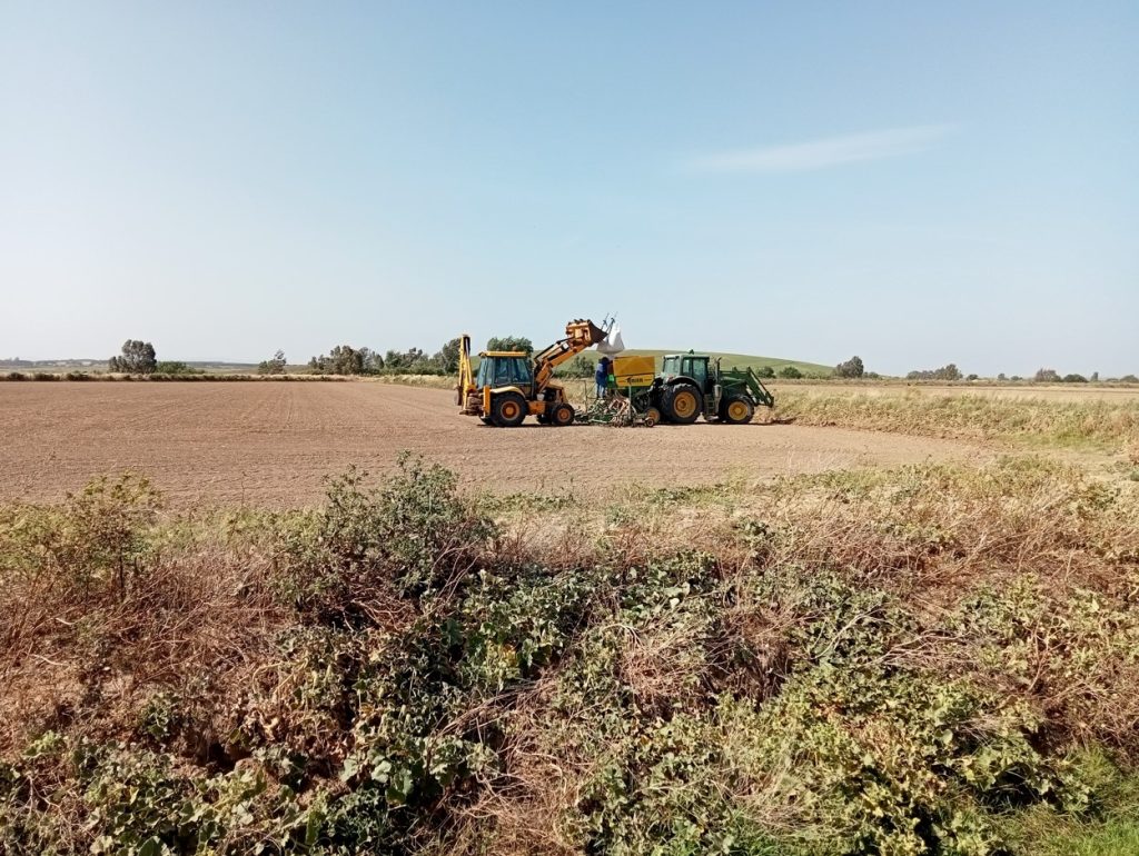 Imagen REPORTAJE FOTOGRÁFICO