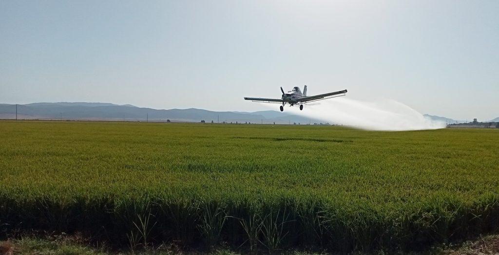 Imagen TRATAMIENTOS RECOMENDADOS