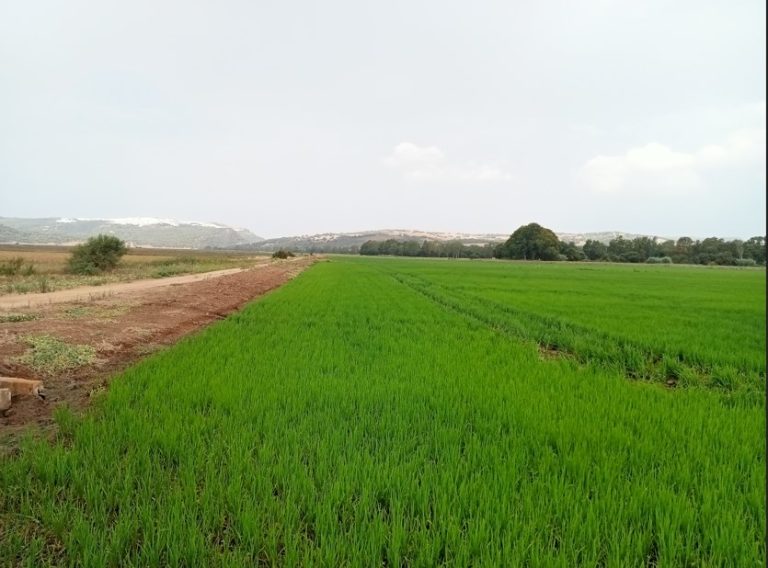 NORMATIVA