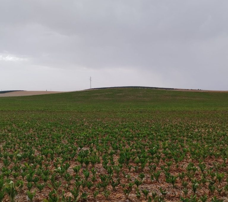 NORMATIVA