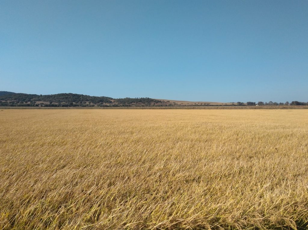 Imagen EVENTOS Y NOTICIAS