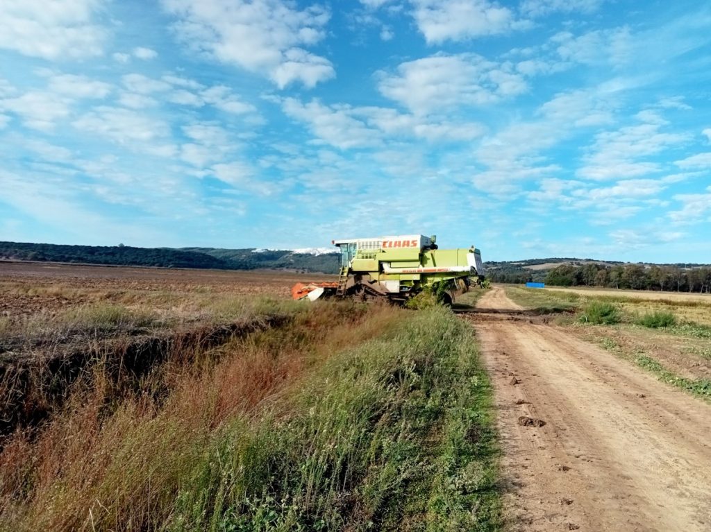 Imagen REPORTAJE FOTOGRÁFICO