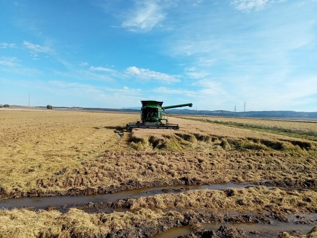 Imagen TRATAMIENTOS RECOMENDADOS