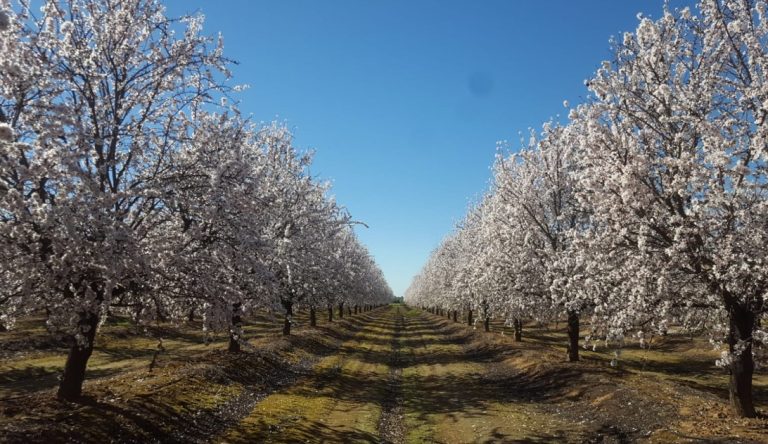 AGRICULTURA