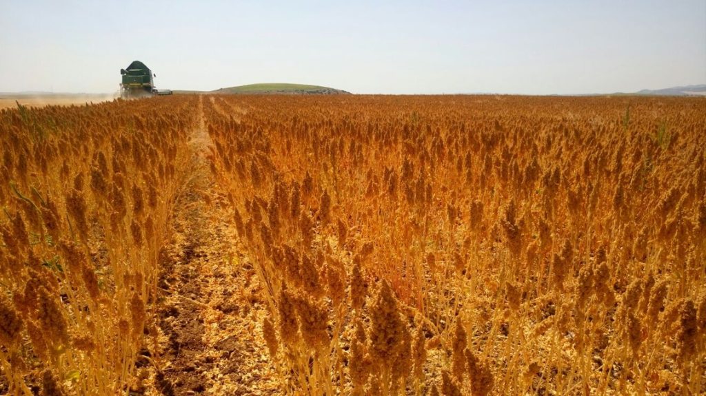 Imagen SUBVENCIONES PARA EL FOMENTO DEL TRABAJO AUTÓNOMO EN ANDALUCÍA: CUOTA CERO