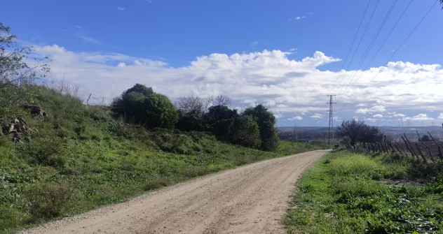 DESAFECCIÓN PARCIAL DE LA VÍA PECUARIA “CAÑADA DEL PINO SOLETE”