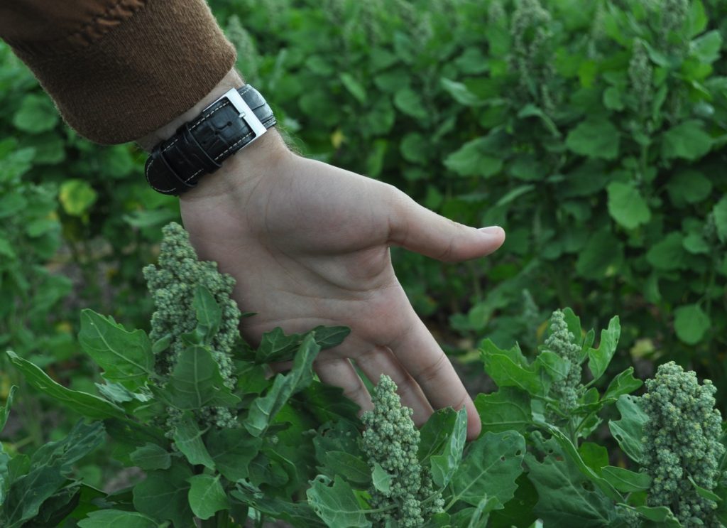 Imagen NUEVO CNAE 2025. COMUNICACIÓN A LA TGSS. EMPRESAS Y AUTÓNOMOS