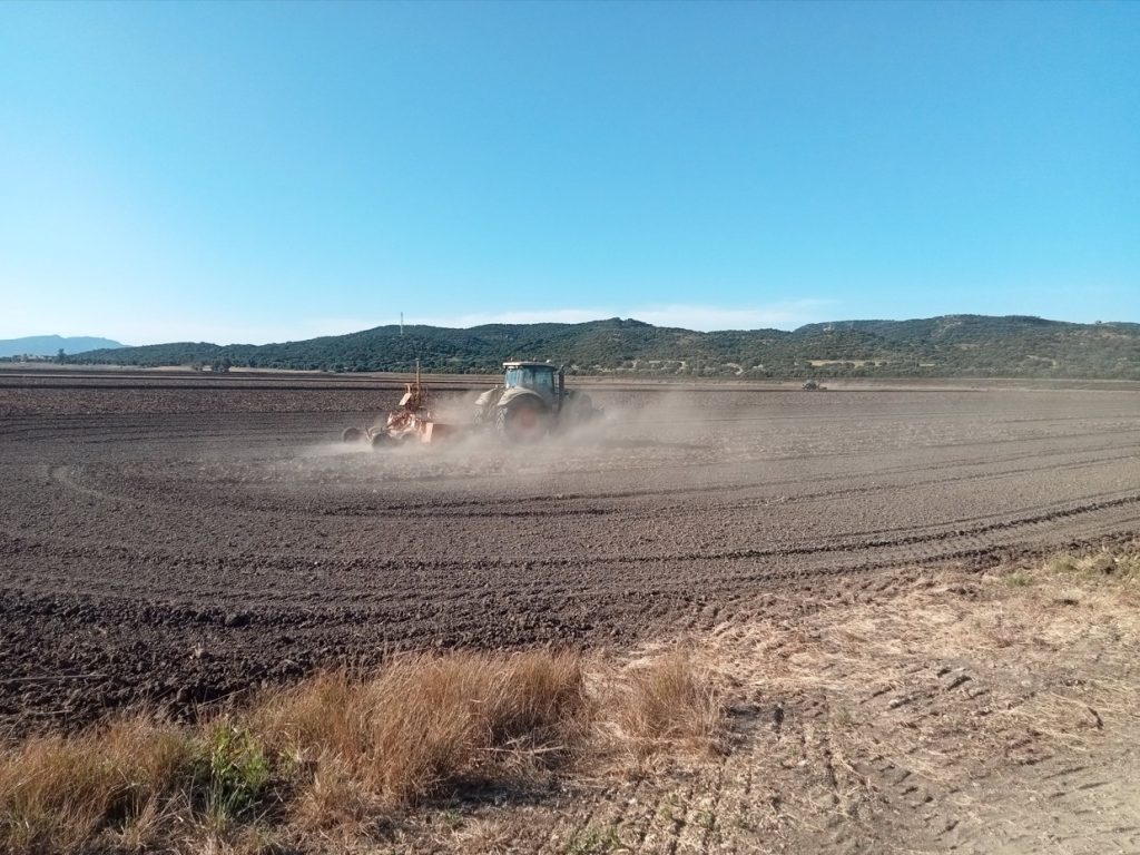 Imagen PRÁCTICAS RECOMENDADAS, PROHIBIDAS, OBLIGATORIAS EN PRODUCCIÓN INTEGRADA