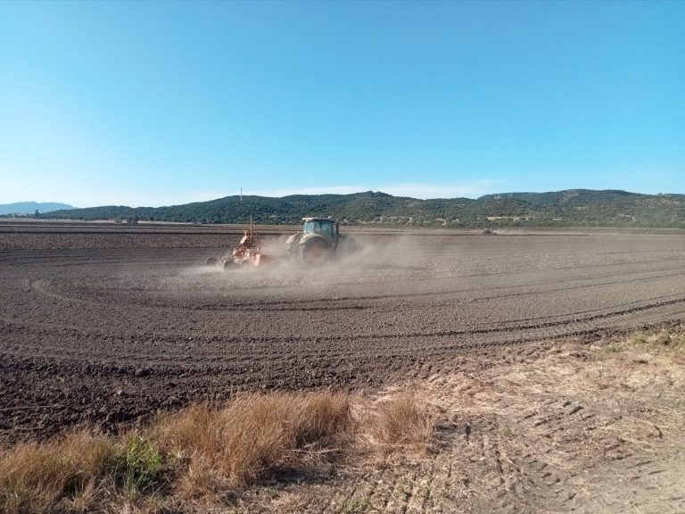 PRÁCTICAS RECOMENDADAS, PROHIBIDAS, OBLIGATORIAS EN PRODUCCIÓN INTEGRADA