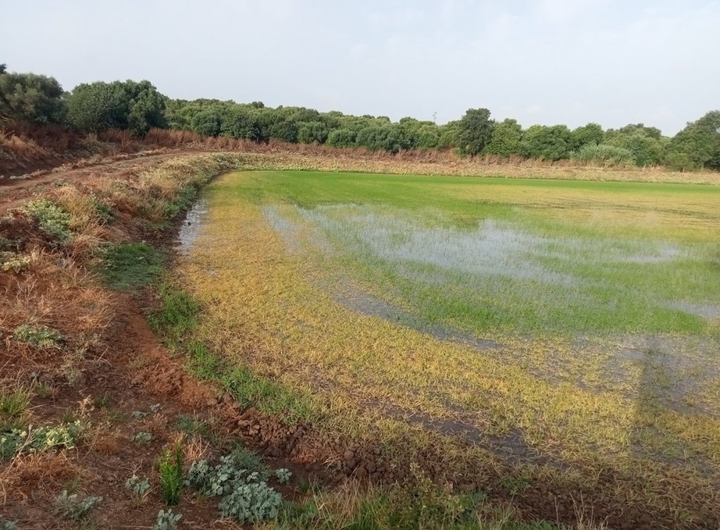 Imagen REPORTAJE FOTOGRÁFICO
