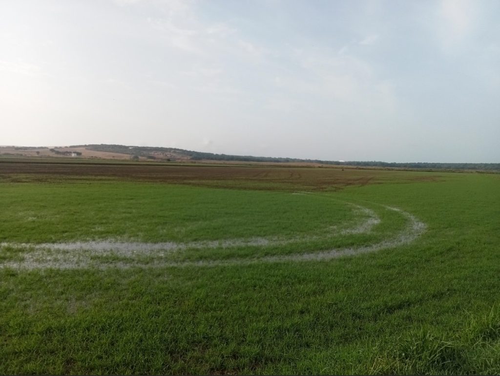 Imagen TRATAMIENTOS RECOMENDADOS