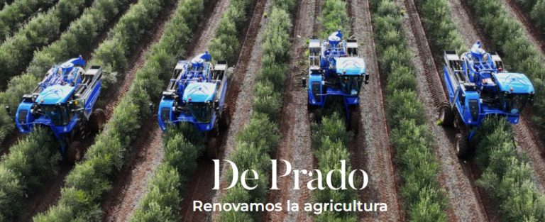 De Prado adquiere más de 3.400 hectáreas de olivar y almendro y el 100% de la Almazara a Algosur y consolida su liderazgo agroindustrial