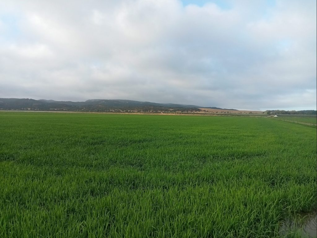 Imagen EVENTOS Y NOTICIAS