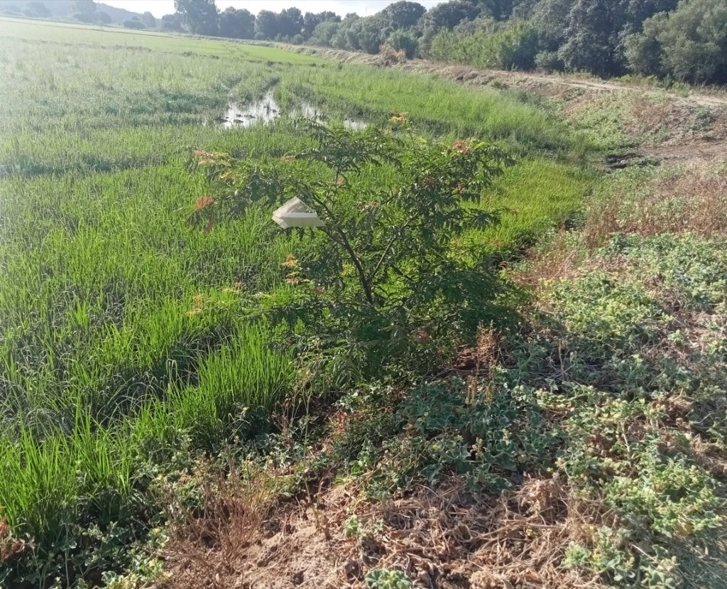 Imagen REPORTAJE FOTOGRÁFICO