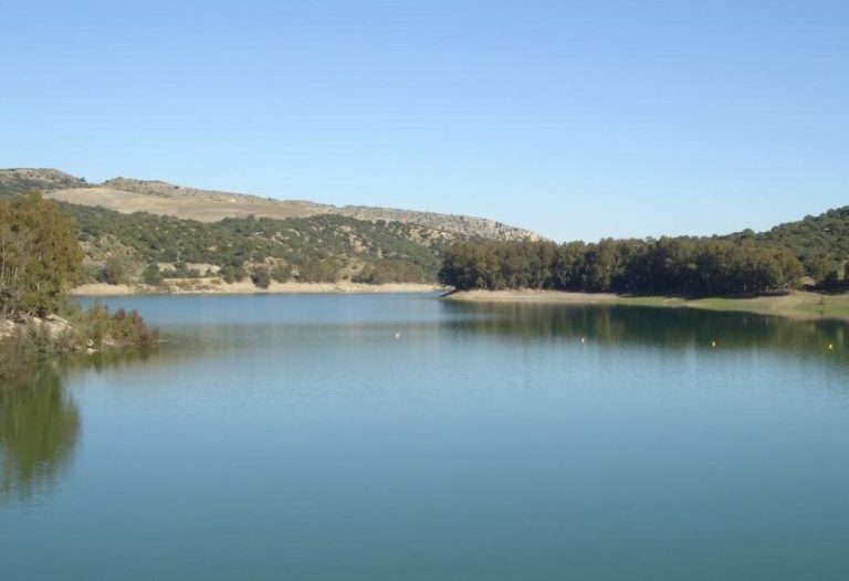 PUBLICACIÓN DE LICITACIÓN PARA APROVECHAMIENTO DE PASTOS EN EL EMBALSE DE BORNOS