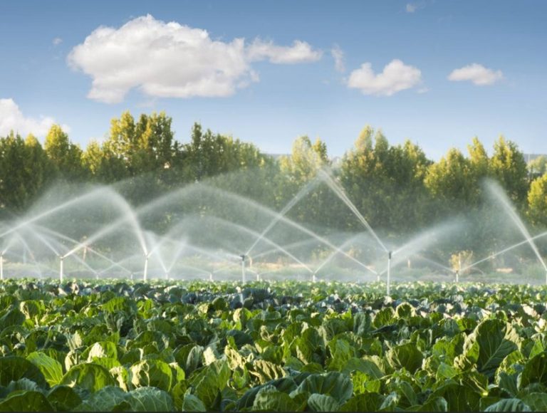 AGRICULTURA