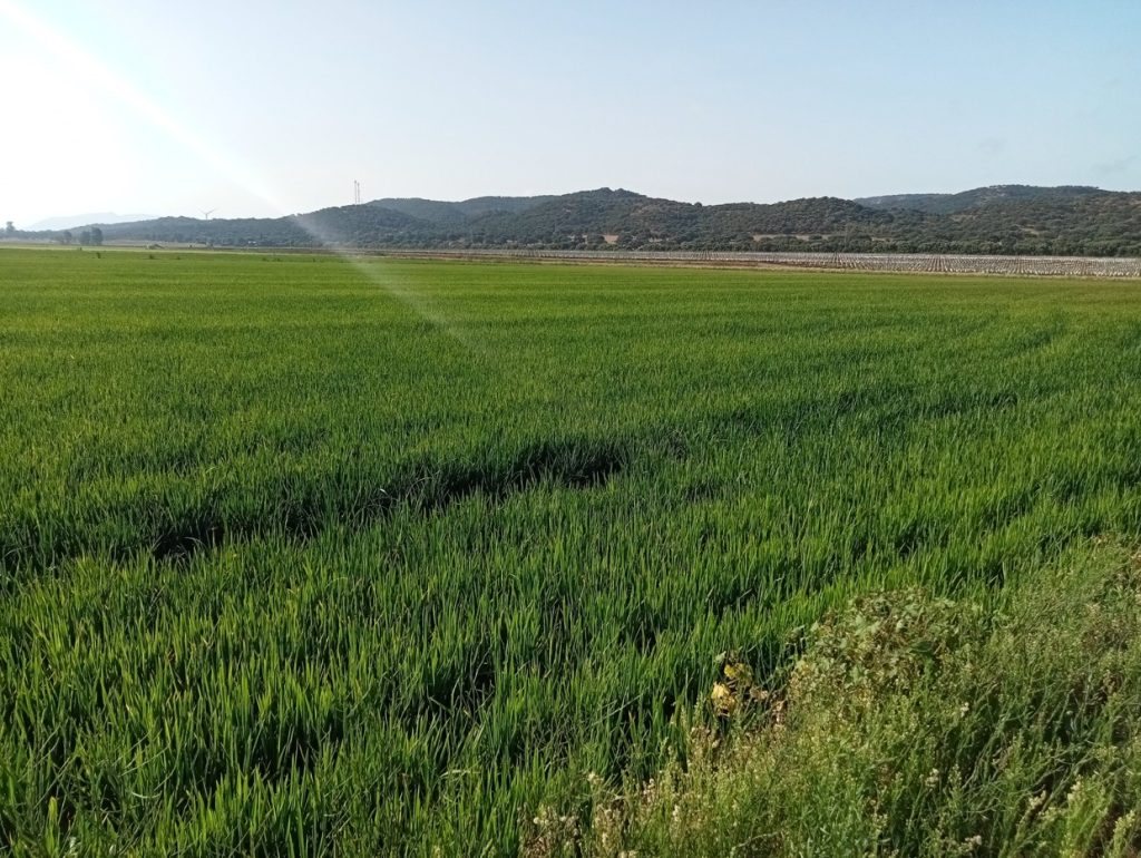 Imagen REPORTAJE FOTOGRÁFICO