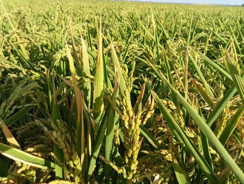 Imagen REPORTAJE FOTOGRÁFICO