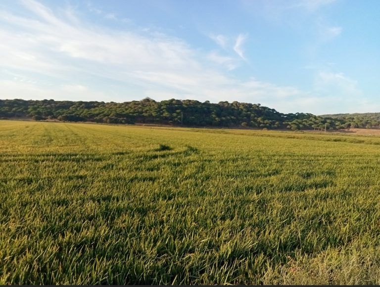 NORMATIVA