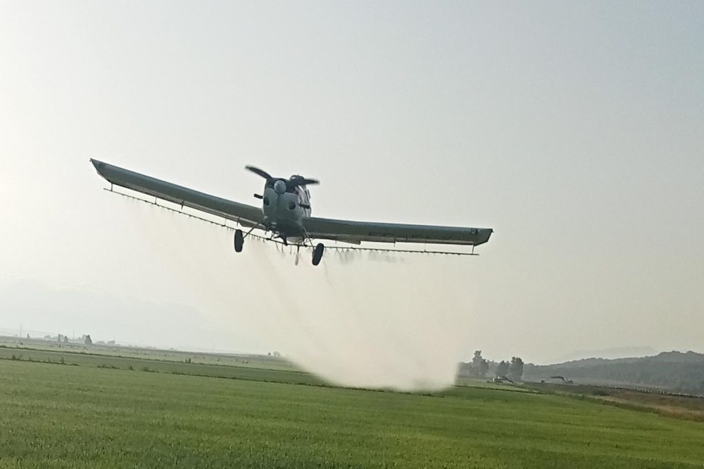 Imagen MATERIAS ACTIVAS Y AUTORIZACIONES EXCEPCIONALES