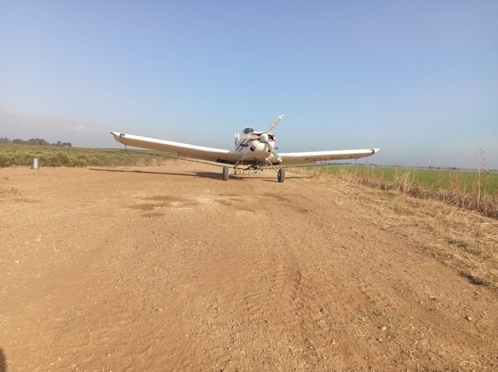 Imagen TRATAMIENTOS RECOMENDADOS