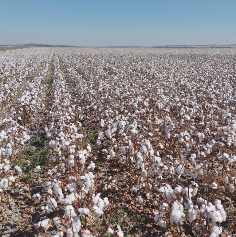 AGRICULTURA