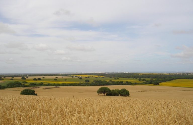 AGRICULTURA