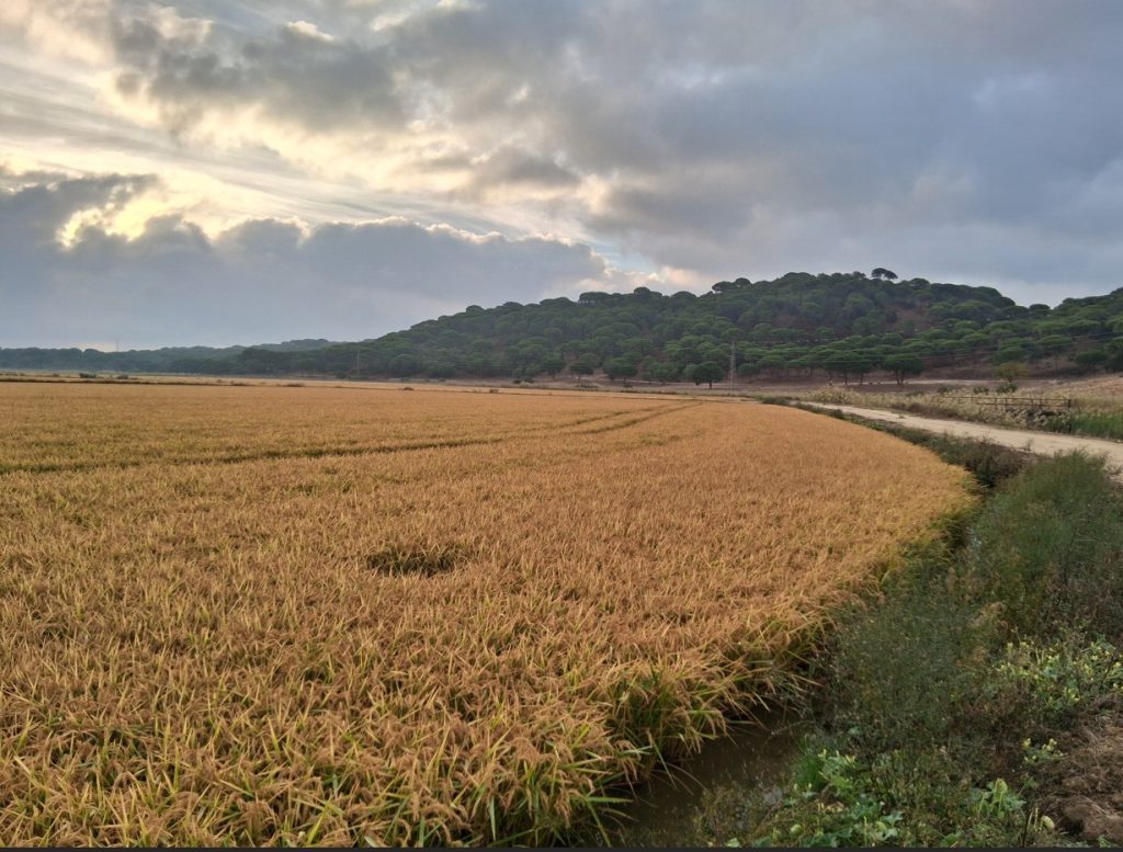 Imagen EVENTOS Y NOTICIAS