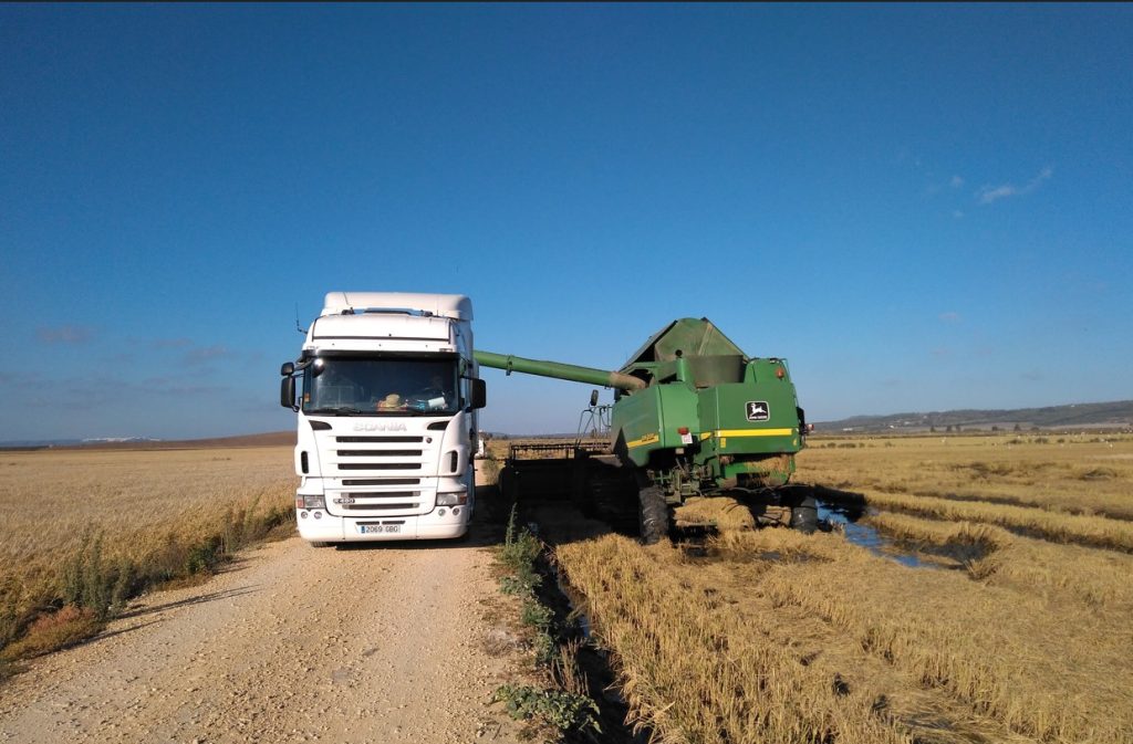 Imagen PRÁCTICAS RECOMENDADAS, PROHIBIDAS, OBLIGATORIAS EN PRODUCCIÓN INTEGRADA