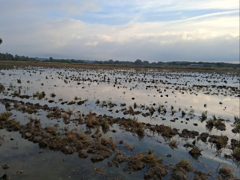 REPORTAJE FOTOGRÁFICO