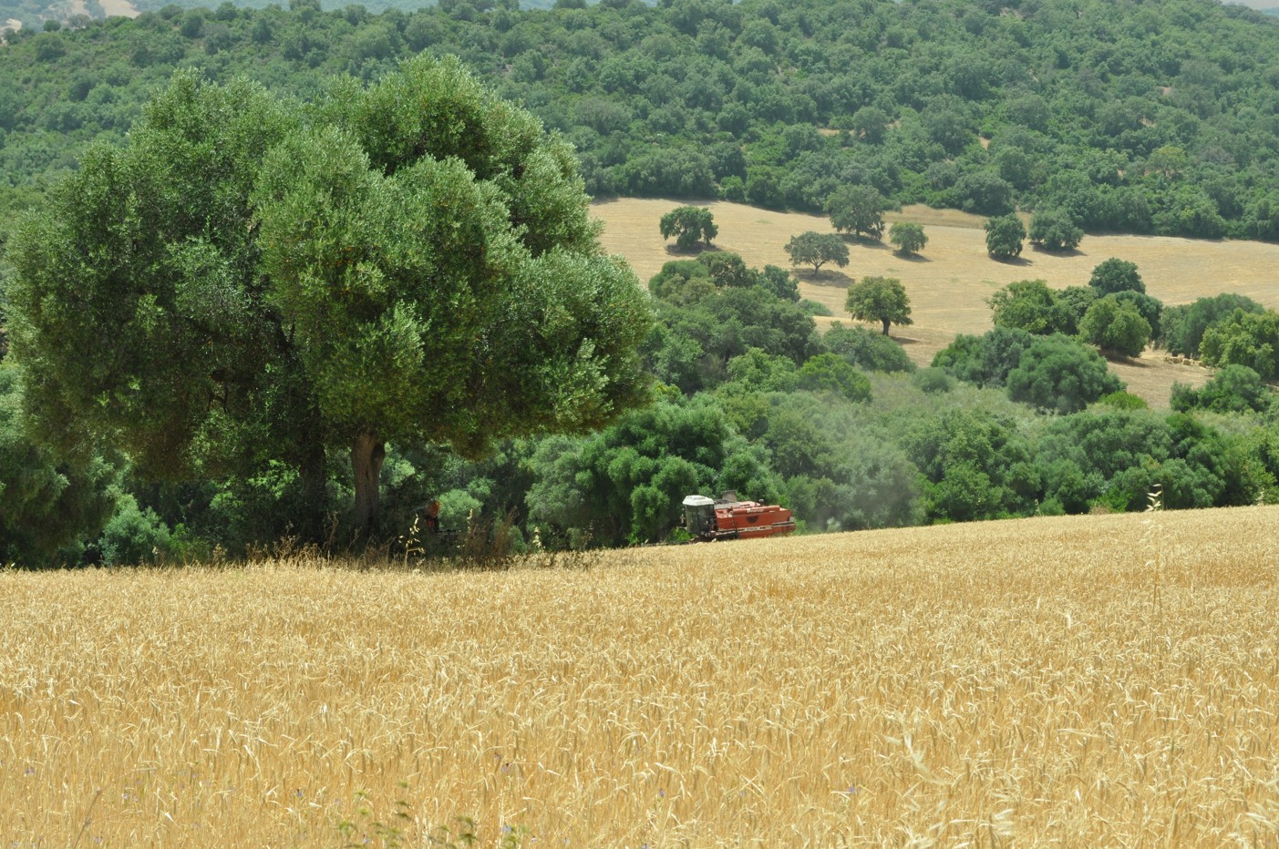 Imagen PUBLICADO EL APLAZAMIENTO DE VERIFACTU