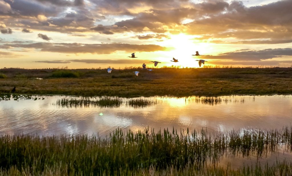 Imagen INFORMACIÓN PÚBLICA PARA INCLUSIÓN EN EL INVENTARIO DE HUMEDALES DE ANDALUCÍA DEL LUCIO DE GABELA HONDA Y POZO LOZANO