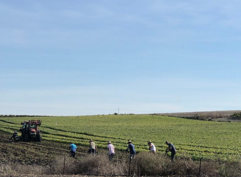 NUEVO RECORDATORIO AYUDAS INICIO ACTIVIDAD AUTÓNOMOS ANDALUCÍA CONVOCATORIA ABIERTA HASTA 30 DE JUNIO DE 2026