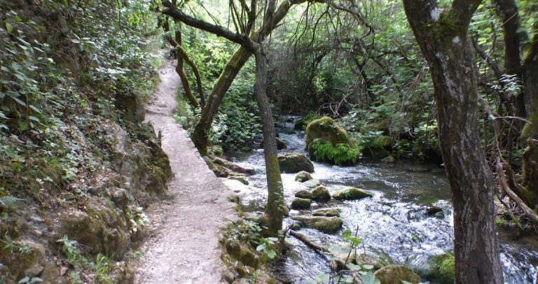 CANON PARA EL EJERCICIO 2026 DEL TRASVASE GUADIARO-MAJACEITE