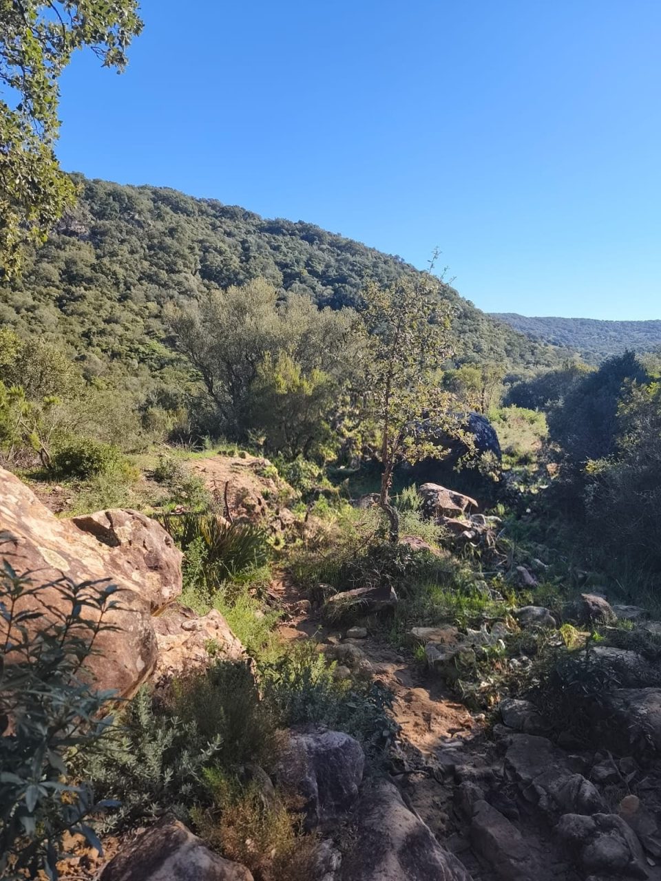 Imagen INFORMACIÓN PÚBLICA DEL PROGRAMA DE USO PÚBLICO DEL PARQUE NATURAL SIERRA DE GRAZALEMA