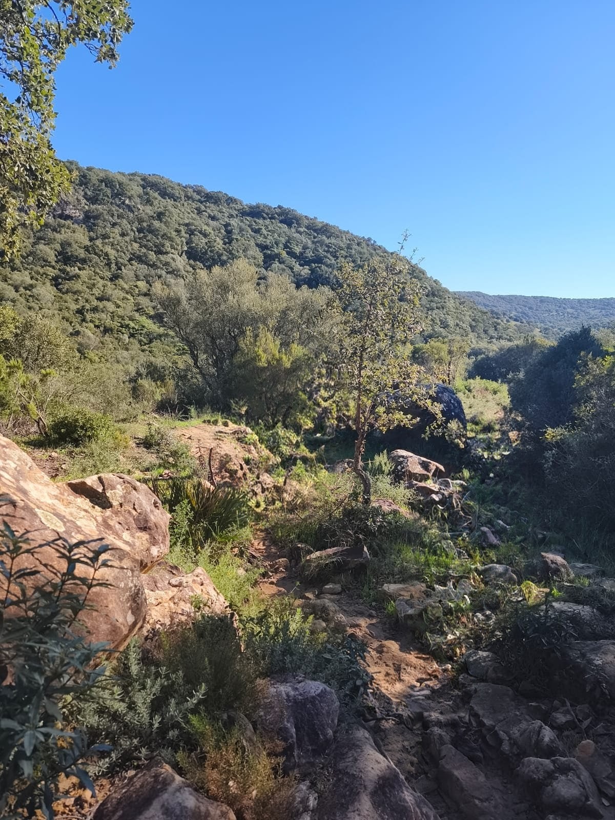Imagen INFORMACIÓN PÚBLICA DEL PROGRAMA DE USO PÚBLICO DEL PARQUE NATURAL SIERRA DE GRAZALEMA