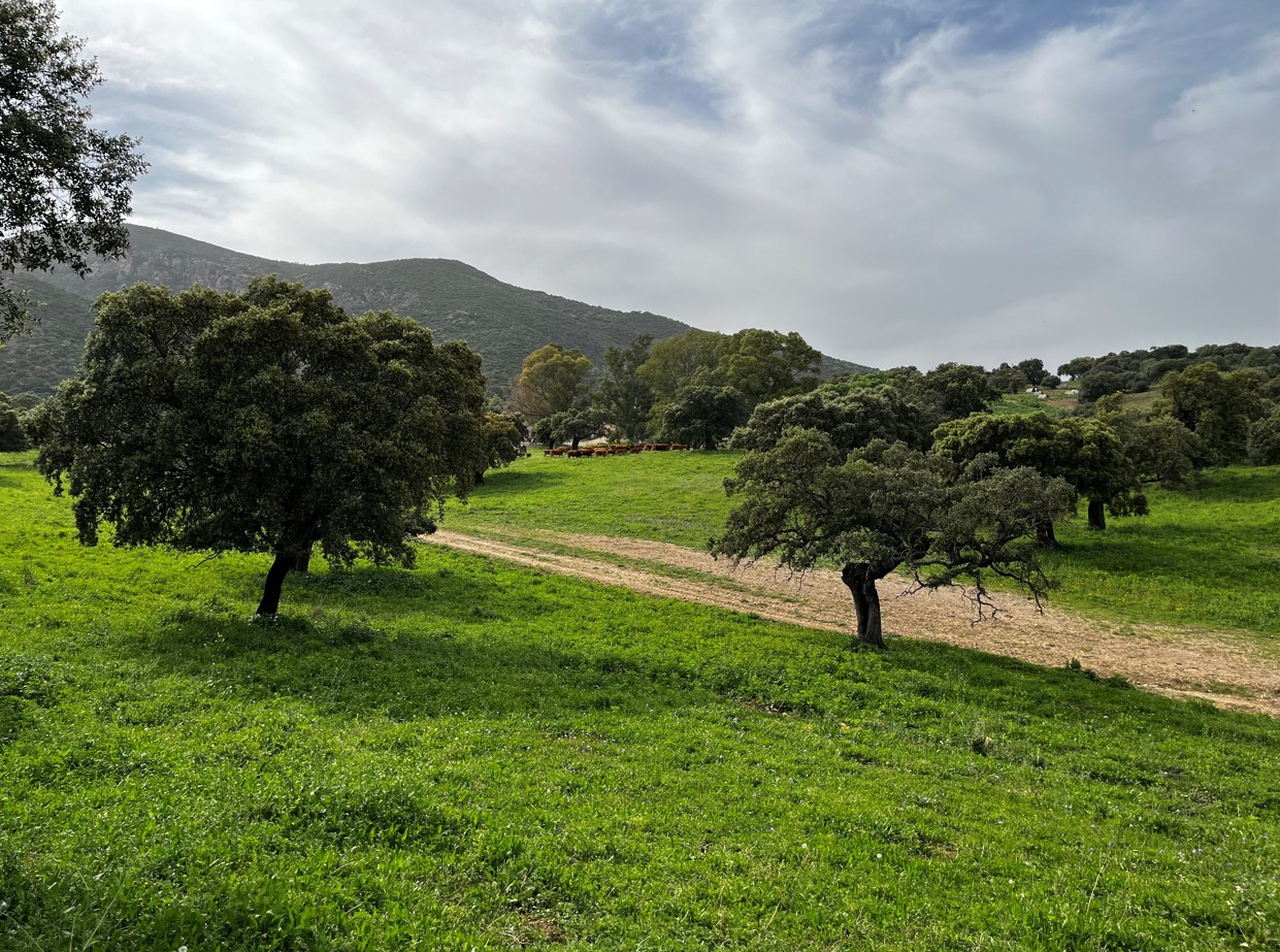 Imagen SIGO MOVILIDAD – GUARDIA CIVIL