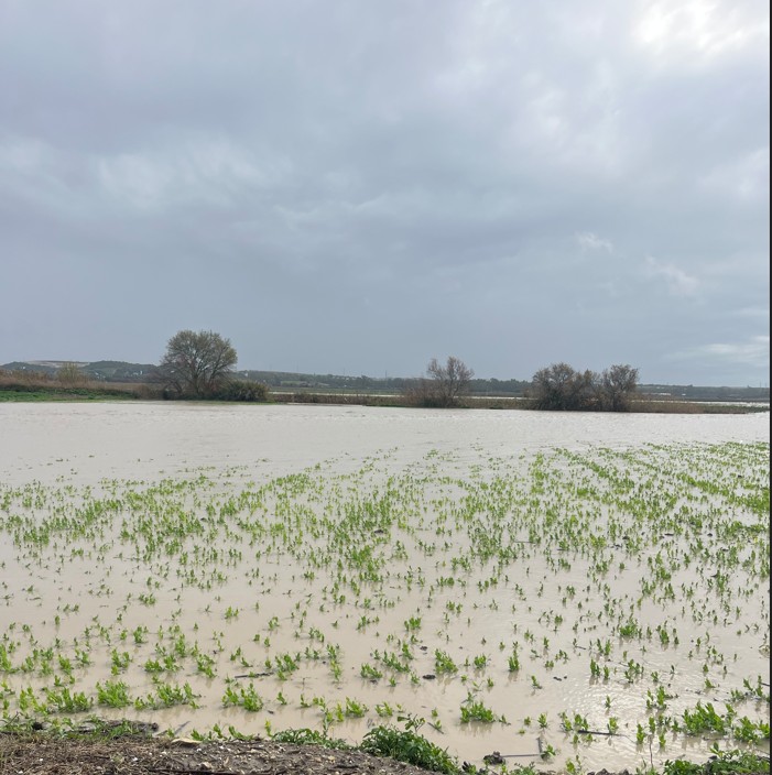 Imagen NOVEDADES SOBRE MEDIDAS DE APOYO FISCAL POR DAÑOS PRODUCIDOS POR BORRASCAS