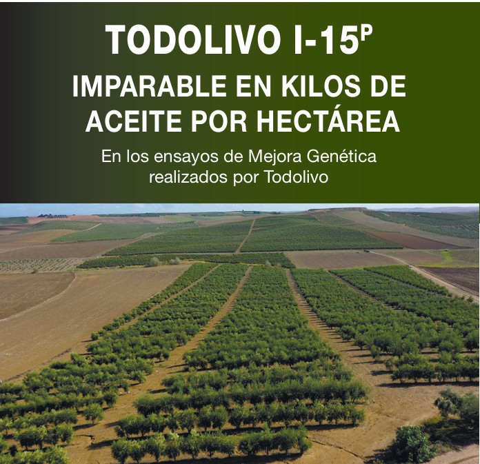 Imagen TODOLIVO I-15p IMPARABLE EN KILOS DE ACEITE POR HECTÁREA
