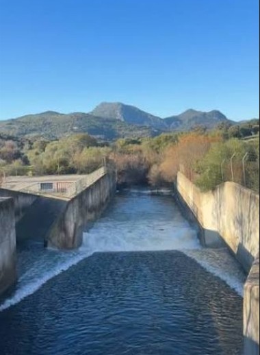 Imagen PUBLICADA LICITACIÓN DE APROVECHAMIENTO DE PASTOS EN EL ÁREA RECREATIVA DEL TRASVASE GUADIARO-MAJACEITE EN UBRIQUE